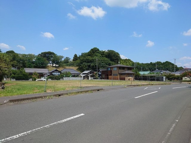 3921画像