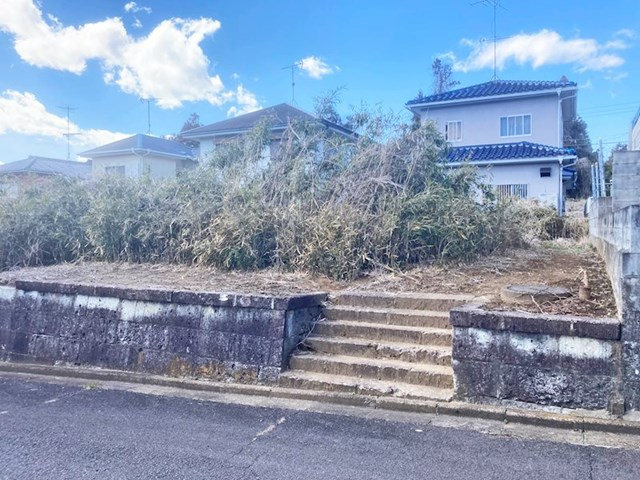 3692画像
