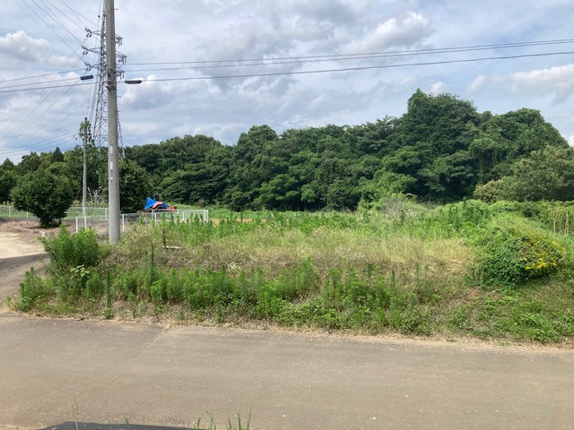3897画像