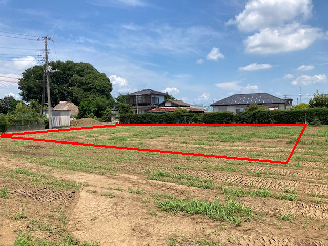3916画像